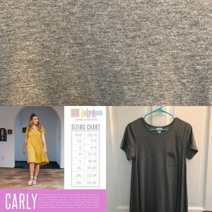 LuLaRoe XS Carly - Solid Gray
